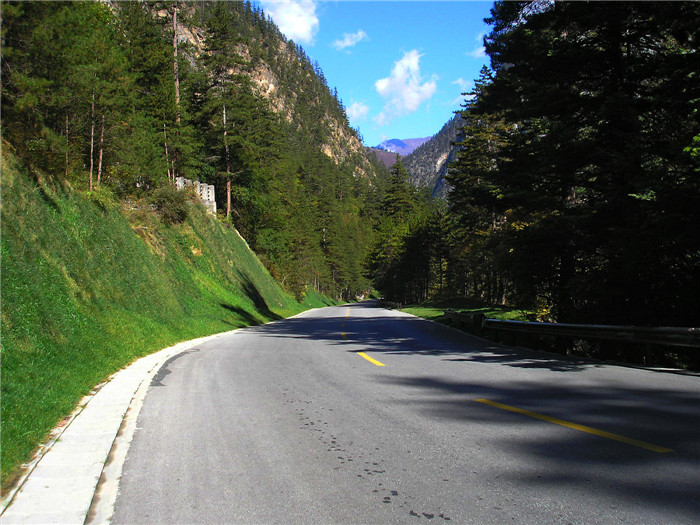 九寨沟道路边坡绿化