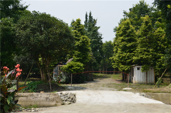 第五苗木基地（大乔周转）