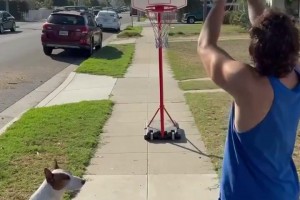 聪明的狗狗！和男主人一起玩投篮连续命中